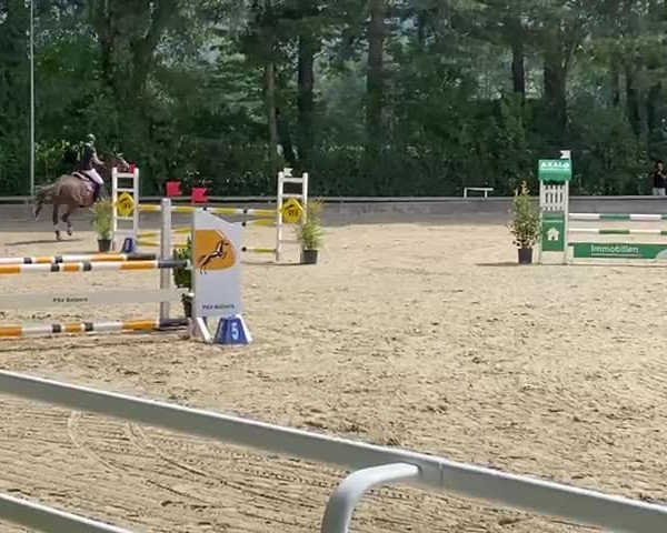 Reitturnier Balzers 2021