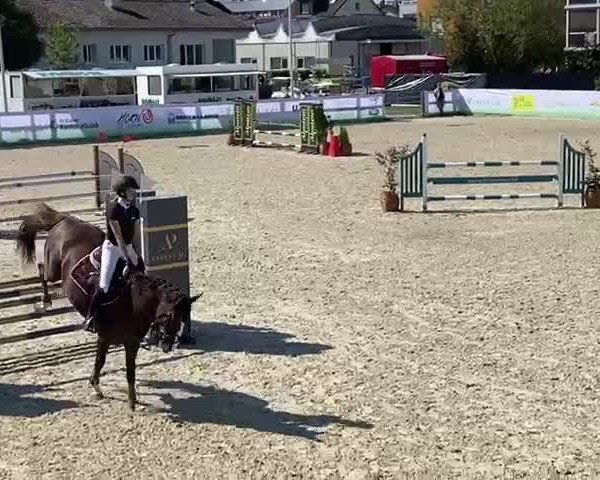 Reitturnier Horn 2021