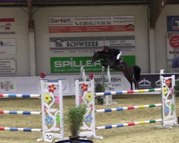 Springturnier Borken 2022