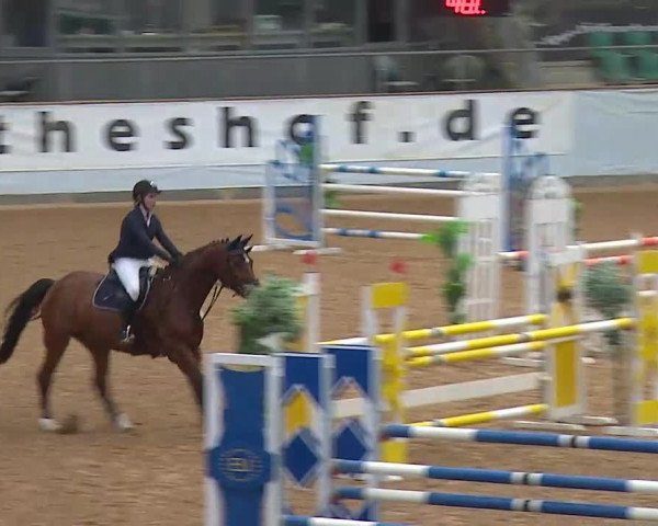 Hallenspringturnier Kreuth 2022
