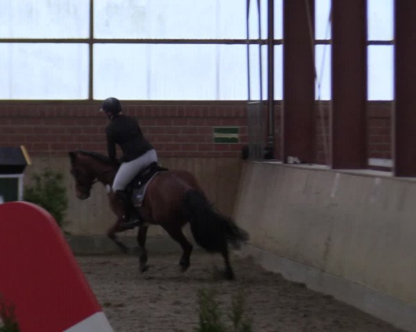 Reitturnier Ostenfelde-Vornholz 2022