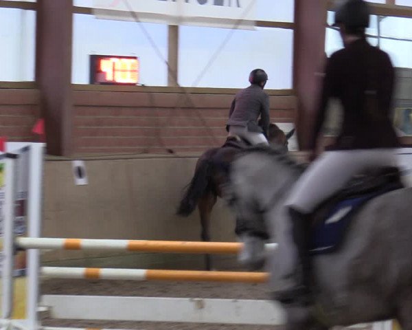 Reitturnier Ostenfelde-Vornholz 2022