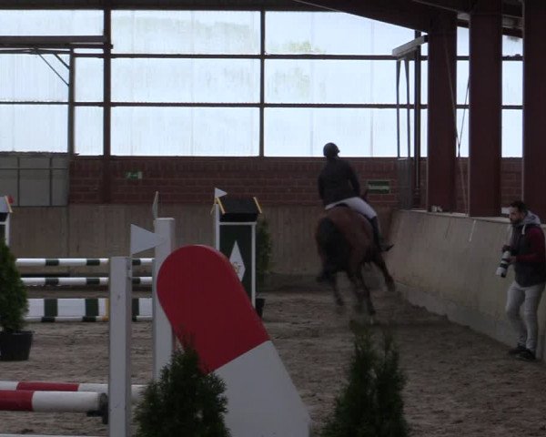 Reitturnier Ostenfelde-Vornholz 2022