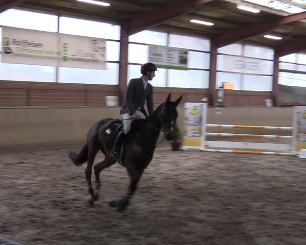 Reitturnier Ostenfelde-Vornholz 2022
