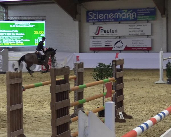 Springturnier Borken 2022