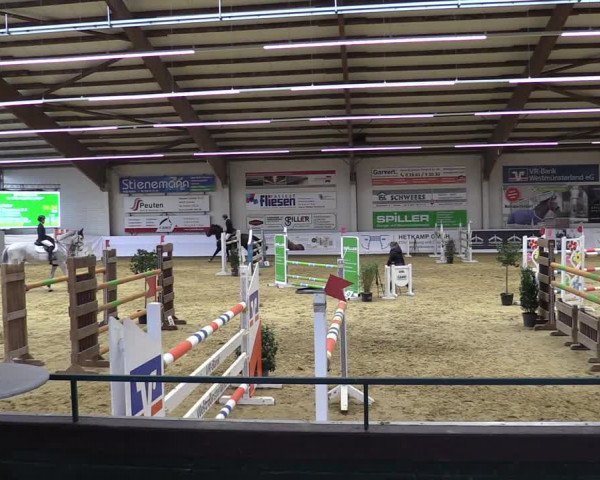 Springturnier Borken 2022