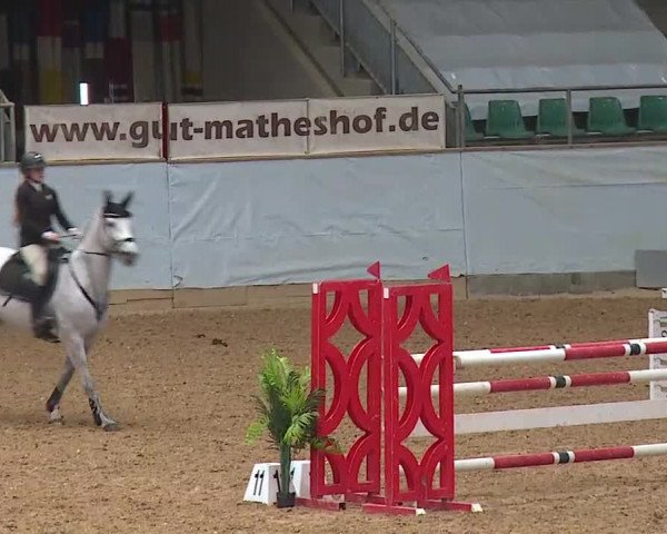 Hallenspringturnier Kreuth 2022