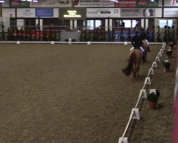 Bismarck Indoors Vlotho-Exter 2022