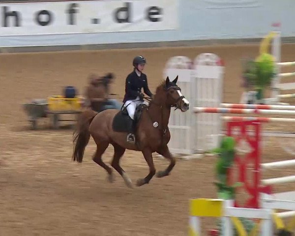 Hallenspringturnier Kreuth 2022