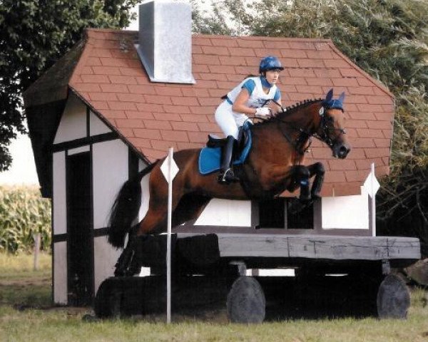 jumper Ustinov 26 (Trakehner, 2001, from Beg xx)