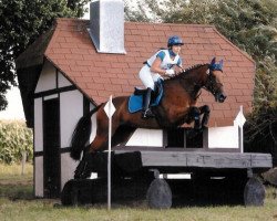 jumper Ustinov 26 (Trakehner, 2001, from Beg xx)