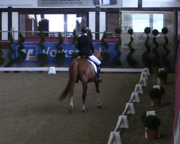 Bismarck Indoors Vlotho-Exter 2022