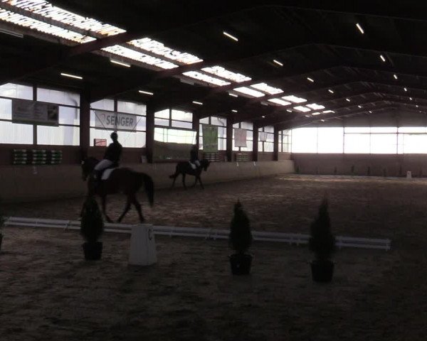 Reitturnier Ostenfelde-Vornholz 2022