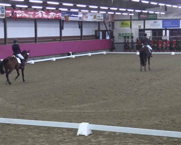 Bismarck Indoors Vlotho-Exter 2022