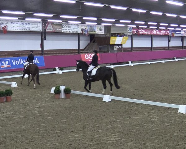 Bismarck Indoors Vlotho-Exter 2022