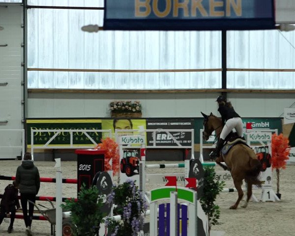 Springturnier Borken 2022
