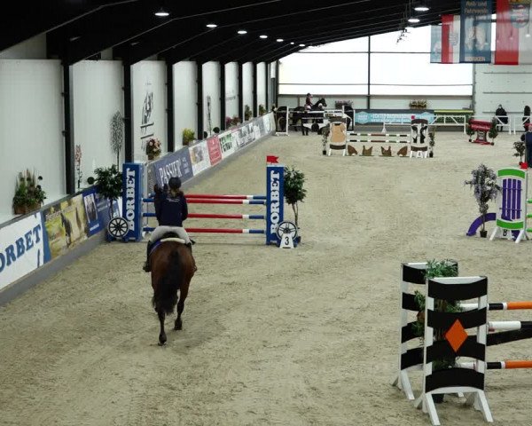 Springturnier Borken 2022