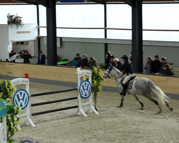 Springturnier Borken 2022