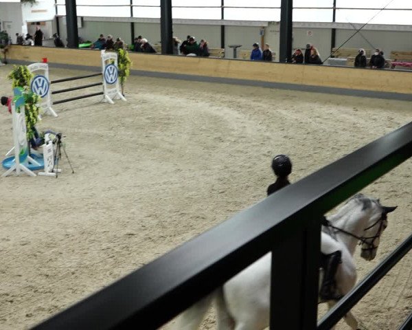 Springturnier Borken 2022