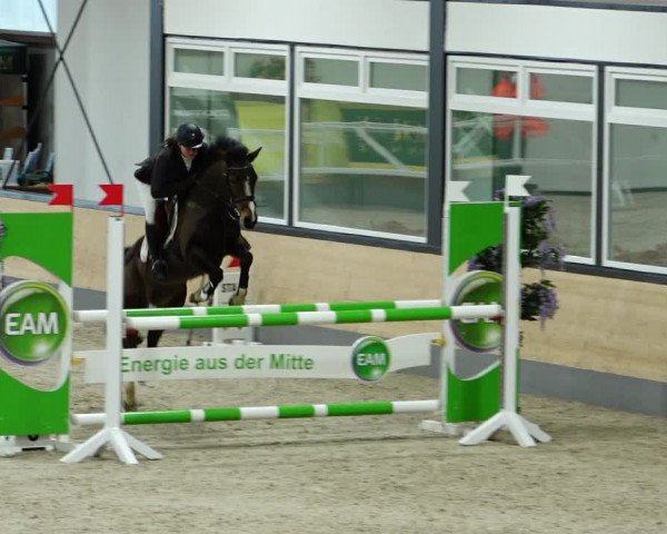 Springturnier Borken 2022