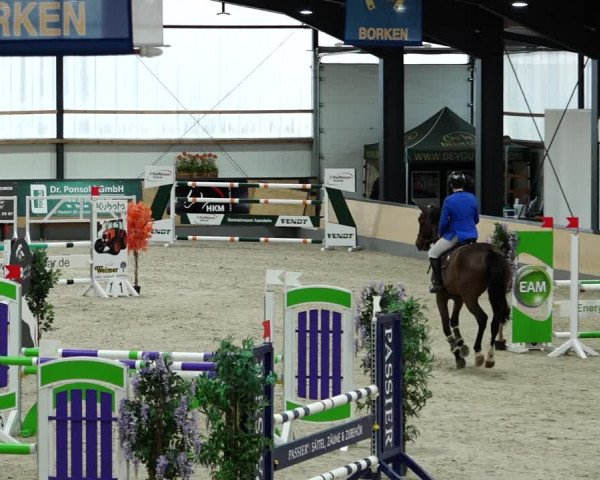 Springturnier Borken 2022