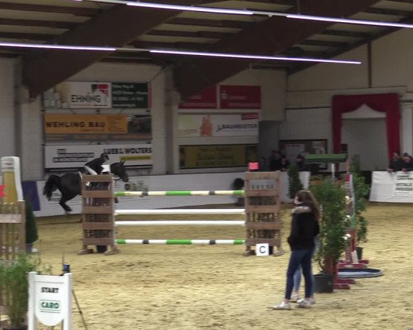 Springturnier Borken 2022