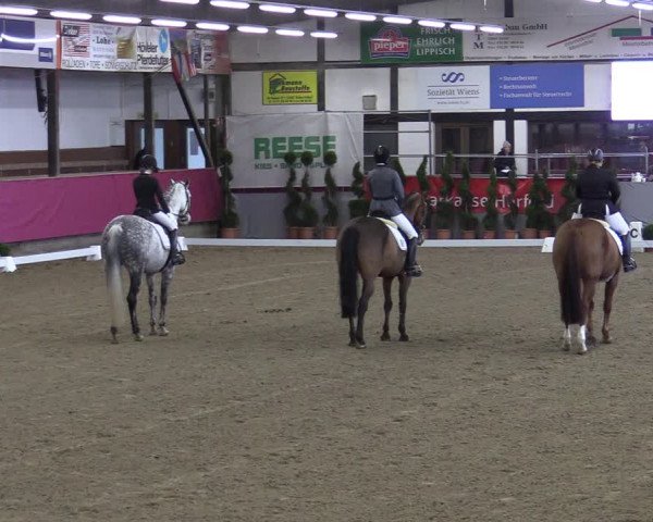 Bismarck Indoors Vlotho-Exter 2022