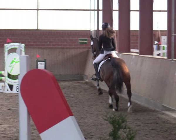 Reitturnier Ostenfelde-Vornholz 2022