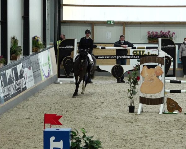 Springturnier Borken 2022