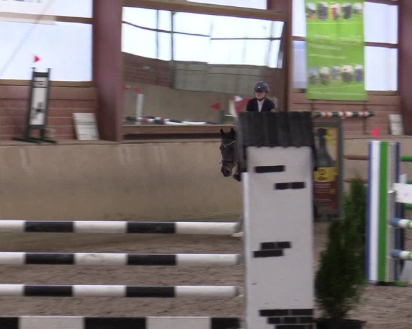 Reitturnier Ostenfelde-Vornholz 2022