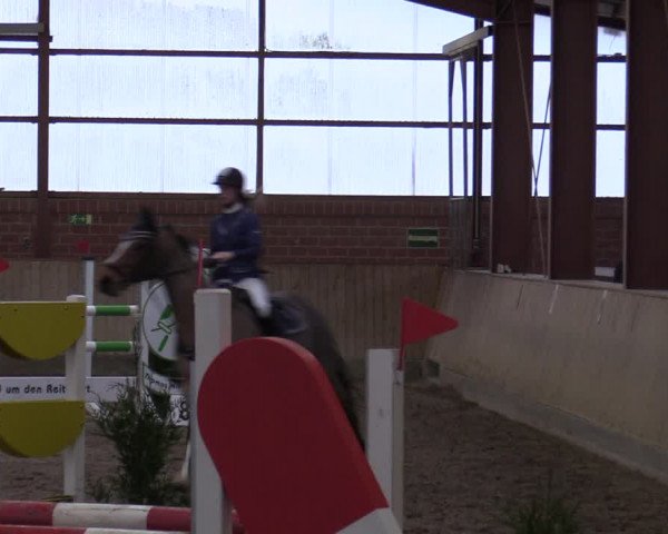 Reitturnier Ostenfelde-Vornholz 2022