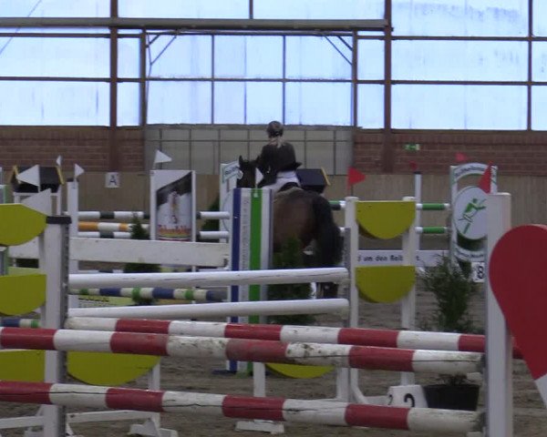 Reitturnier Ostenfelde-Vornholz 2022
