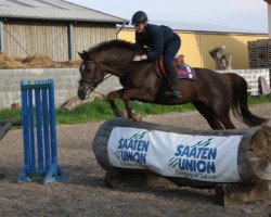 jumper Rilana 65 (German Riding Pony, 2005)