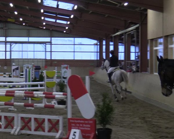 Reitturnier Ostenfelde-Vornholz 2022