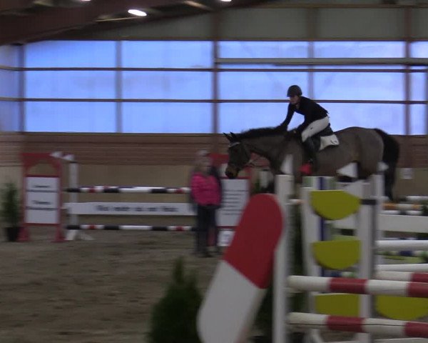 Reitturnier Ostenfelde-Vornholz 2022