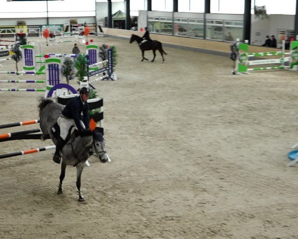 Springturnier Borken 2022