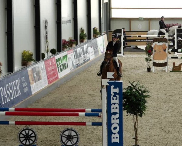 Springturnier Borken 2022