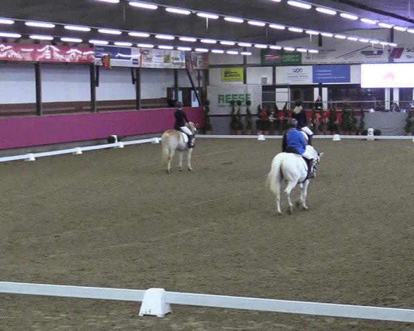 Bismarck Indoors Vlotho-Exter 2022