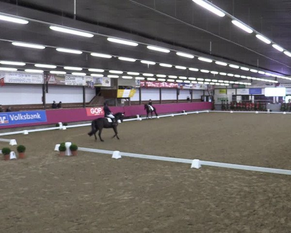 Bismarck Indoors Vlotho-Exter 2022