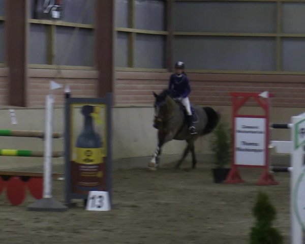 Reitturnier Ostenfelde-Vornholz 2022