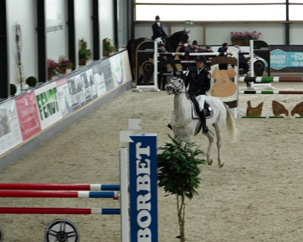 Springturnier Borken 2022