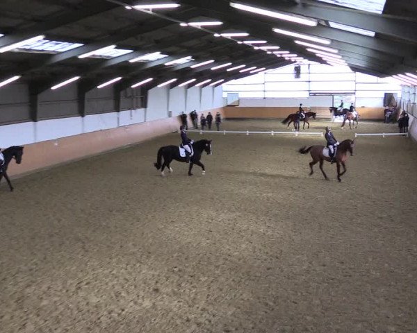Reitturnier Datteln 2022