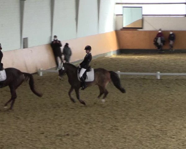 Reitturnier Datteln 2022