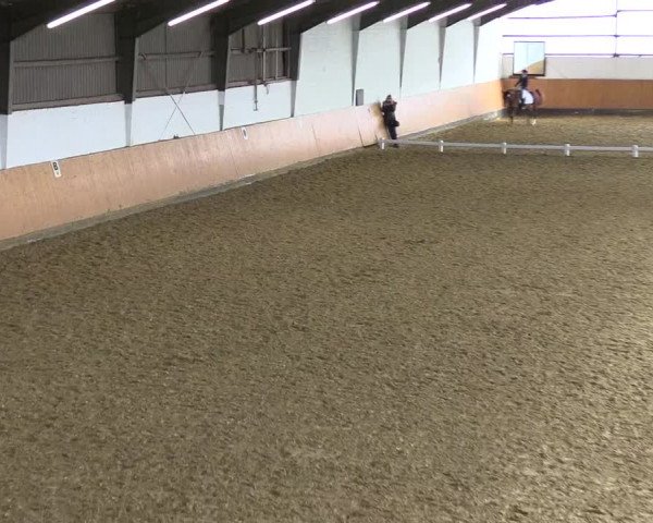 Reitturnier Datteln 2022