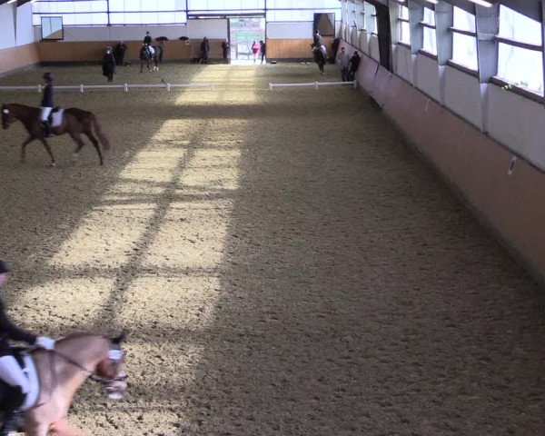 Reitturnier Datteln 2022