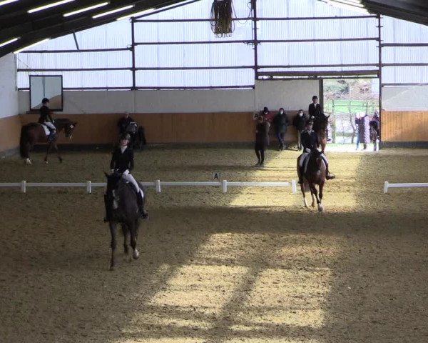 Reitturnier Datteln 2022