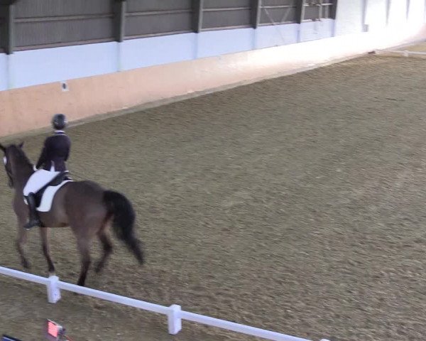 Reitturnier Datteln 2022