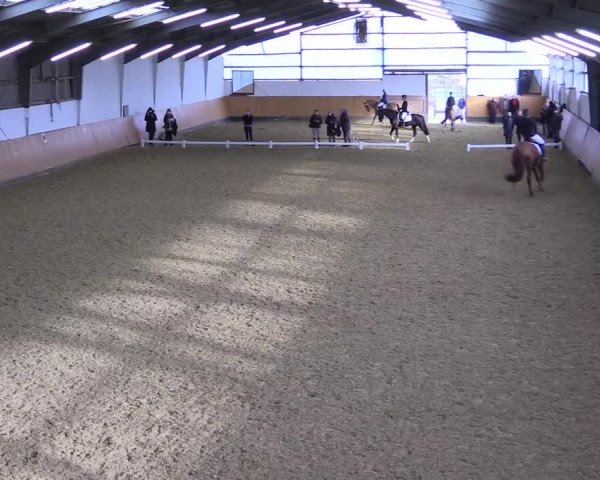 Reitturnier Datteln 2022