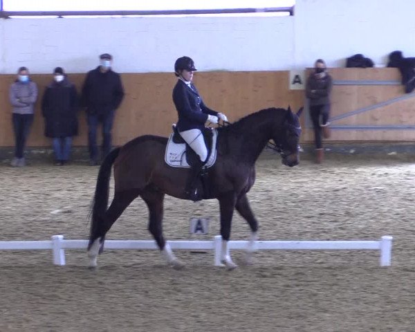 Reitturnier Datteln 2022