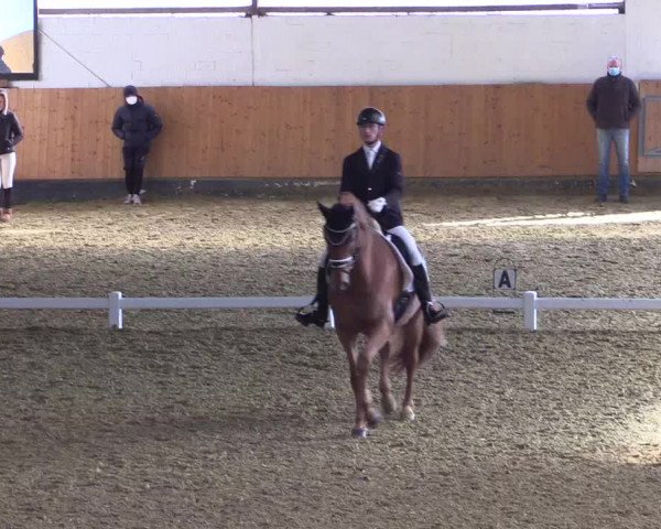 Reitturnier Datteln 2022